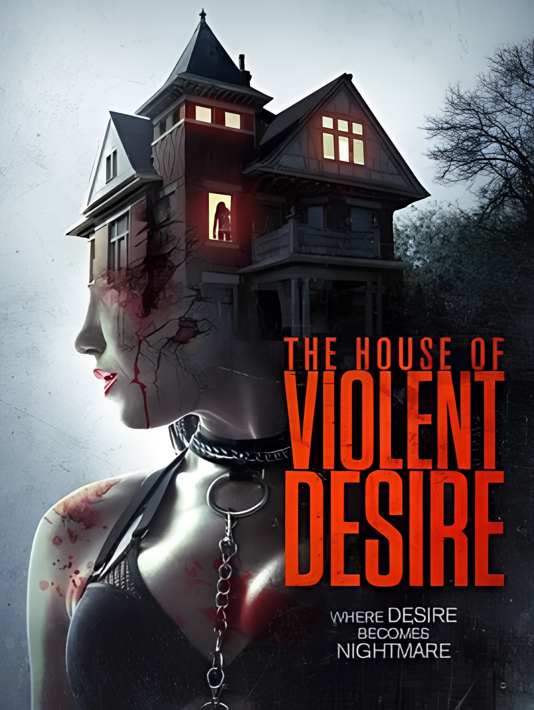 暴力欲望的房子