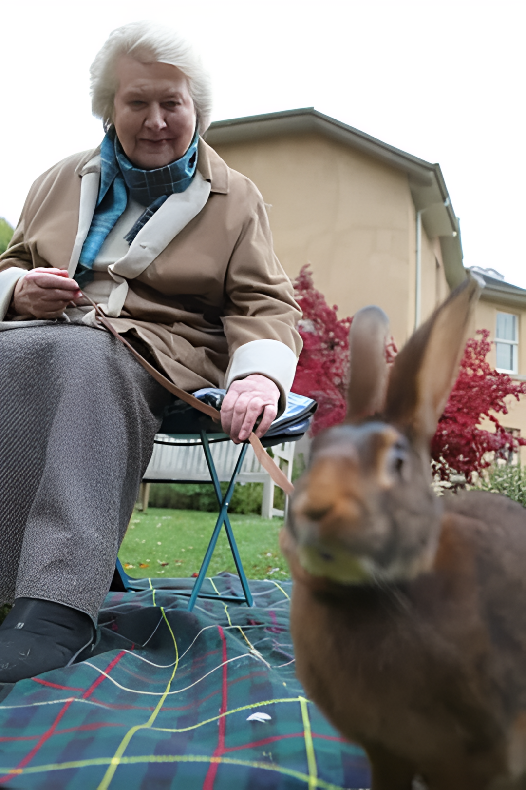 和帕特里夏劳特利奇一起追寻碧翠丝波特