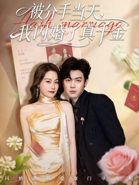 被分手当天我闪婚了真千金 刚分手被美女姐姐拉去领证